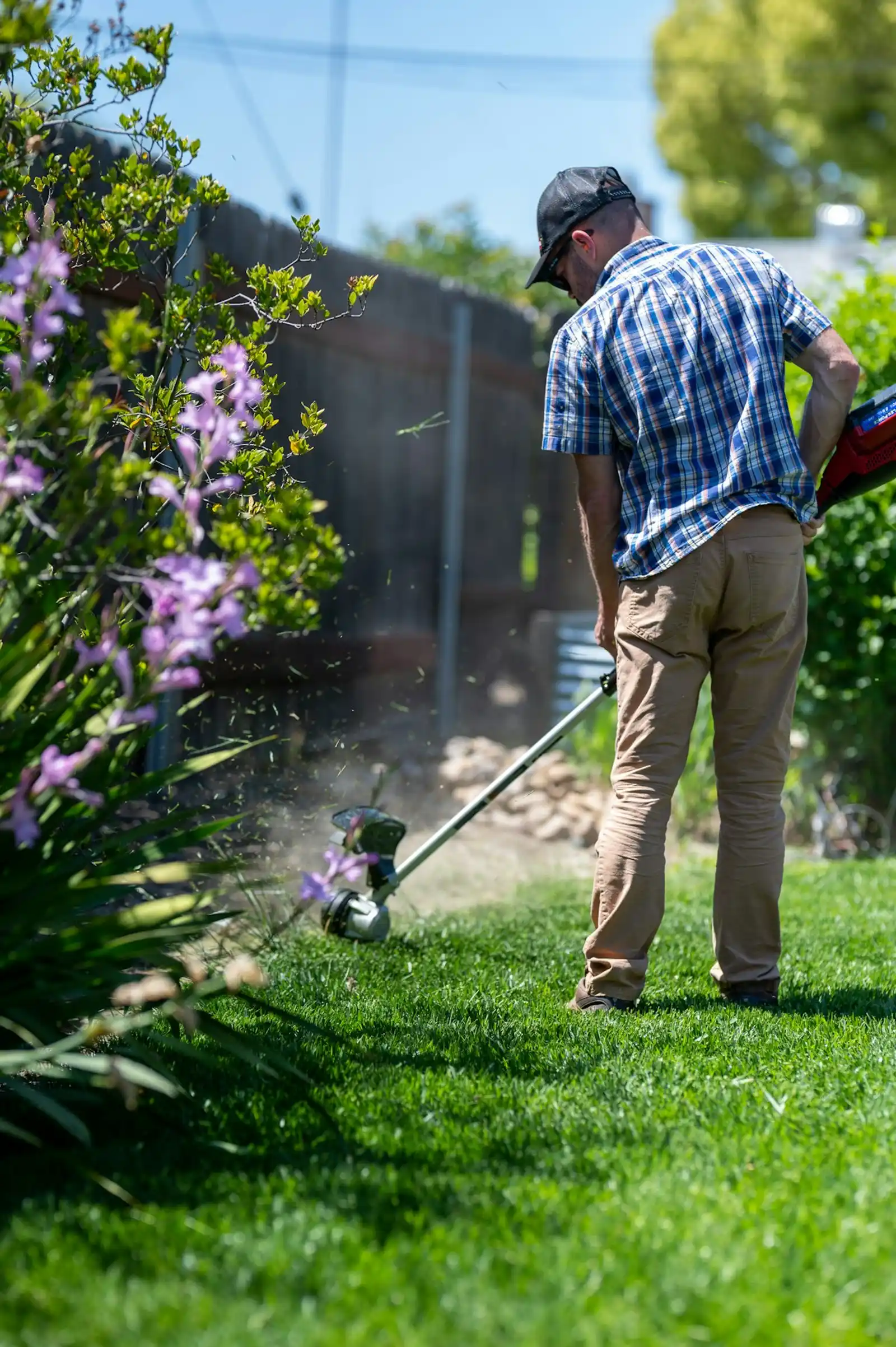 A worker using a petrol line trimmer along a garden bed edge beside a timber paling fence.